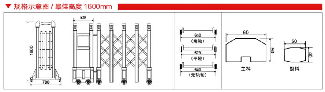 靚麗九號55.png